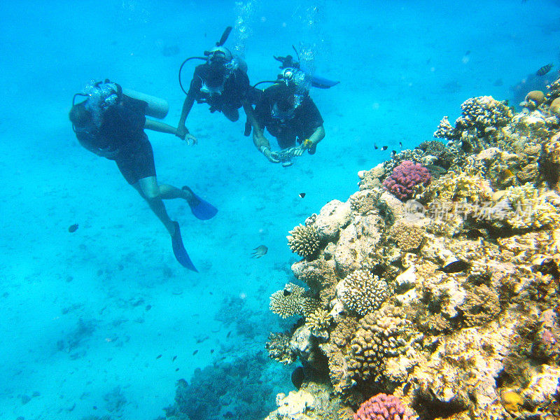 Blue water, Red sea, tropical fishes, corals. Instructor and students